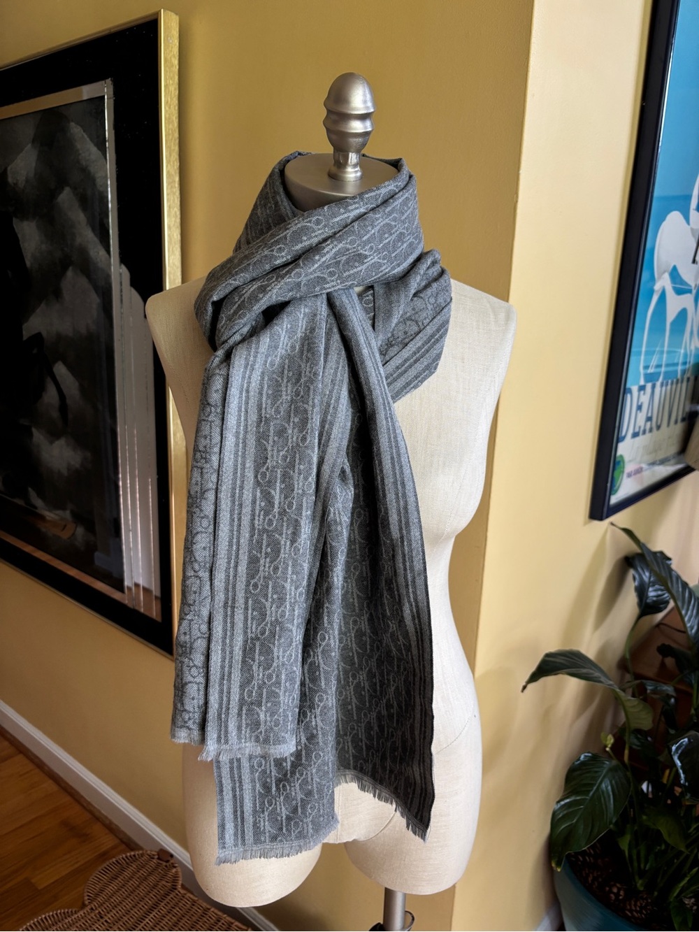 christian dior scarf
